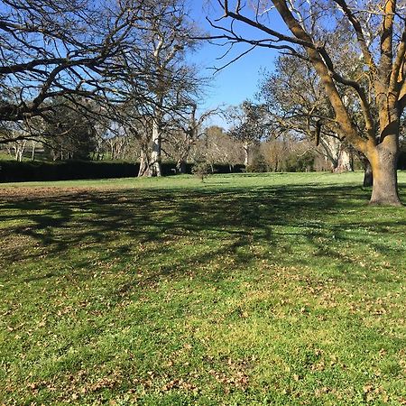 Collingrove Homestead Angaston ภายนอก รูปภาพ