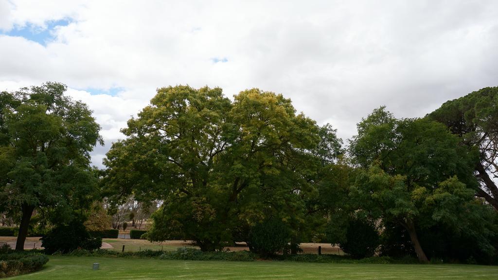 Collingrove Homestead Angaston ภายนอก รูปภาพ