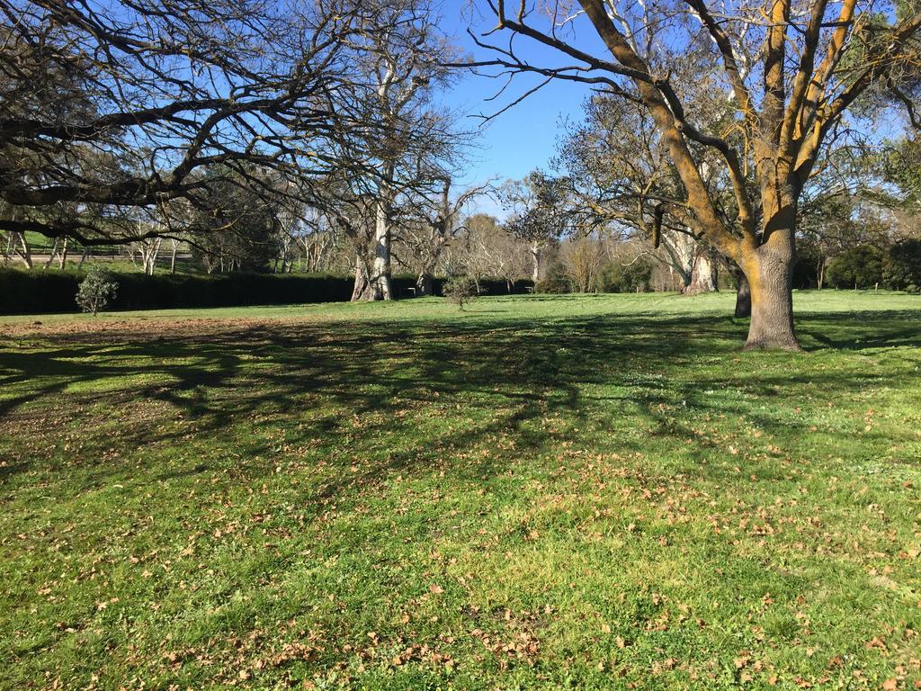 Collingrove Homestead Angaston ภายนอก รูปภาพ